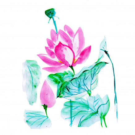 Marion Souffle d'Âme